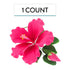 Global Sugar Art Hibiscus Sugar Cake Flowers Spray, Hot Pink Hawaiian Cake Flower Large, 1 Count by Chef Alan Tetreault...