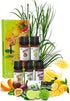 Citrus Fruity Essential Fragrance Oil Set for Slime Candle Soap Making Aromatherapy Diffuser,Passion Friut,Orange,Lemongrass,Lemon,Bergamot,Grapef...