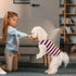 Queenmore Dogs Cats Cotton Vest,Dog Striped T-Shirt,Soft Cool TShirts Sleeveless Stripe Vests for Small Medium and Large Dogs&Cats...