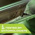 Stem Repels Mosquitoes: Mosquito Repellent Spray With Botanical Extracts; 4 fl oz (Pack Of 3)...