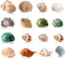 16PCS Hermit Crab Shells Medium Small | Sea Conch Size 1.1" - 2.4" | Medium Small Shells Set - Growth Turbo Seashells for Natural Hermit Crab Supp...
