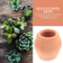 GANAZONO 16 pcs Mini Ceramic Flower Pot Small Clay Small Flower pots Mexican Decor Edible Clay Outdoor pots Ceramic Planter Pot Mini Terracotta Pl...