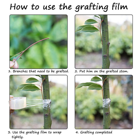 Grafting Tape Grafting Film for Plants, 2 Pack Stretchable Garden Grafting Tape Plants Repair Budding Tapes for Floral Fruit Tree and Poly Budding...