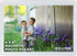 Clear Magnetic Picture Frames for Refrigerator School Locker, or Any Magnetic Surface 16 Pack Holds (2) 5 x 7 (4) 4 x 6 (10) 2.5 x 3.5 Exclusive P...