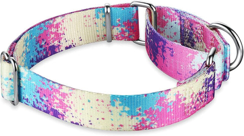 Martingale Dog Collars Colourful Oil painting Pattern series - No Pull Pet Collar Silky Soft for Medium and Large Dogs (Medium, 1 Inch Wide, Profu...