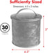 Amici Home Newport Galvanized Metal Canister | Dry Food Storage Container | Airtight Lid | 30 Ounce Capacity | Farmhouse Décor | Rustic Metal Cani...