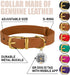 BRONZEDOG Leather Dog Collar with Metal Buckle Durable Basic Pet Collars for Small Medium Large Dogs (11-13 Inch (Pack of 1), Light Brown & Gold B...