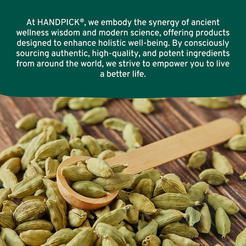 HANDPICK Green Cardamom Pods (57g / 2oz) Large size Green Elaichi | Pure, Non-GMO, Gluten Free | 100% Raw from India | Resealable Zip Lock Pouch...