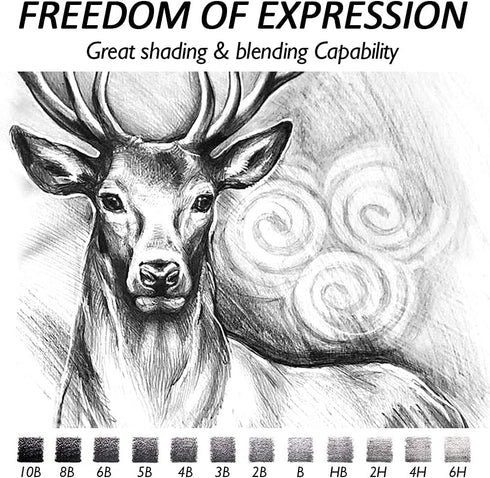 dainayw Professional Drawing Sketching Pencil Set, 12 Pieces Art Pencils 10B, 8B, 6B, 5B, 4B, 3B, 2B, B, HB, 2H, 4H, 6H Graphite Shading Pencils f...