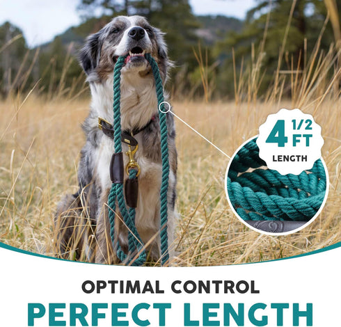 Embark Pets Country Dog Rope Leash – Braided Cotton Rope Leashes for Dogs Thick Rope Dog Leash– Rope Leash for Small Dogs, Rope leash for Medium D...