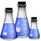 Glass Erlenmeyer Flask Set with Rubber Stoppers - 3 Sizes - 50, 150 and 250ml, Karter Scientific 214U8...