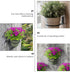 2pcs Flower Pot Storage Rack Outdoor Planter Pots Outdoor Hooks Outdoor Pots Metal Organizer Shelf Indoor Plant Pots Flowerpot Wall Hanger Wall Mo...