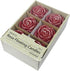 Zest Candle 12-Piece Folding Candles, 3-Inch, Red Rose...