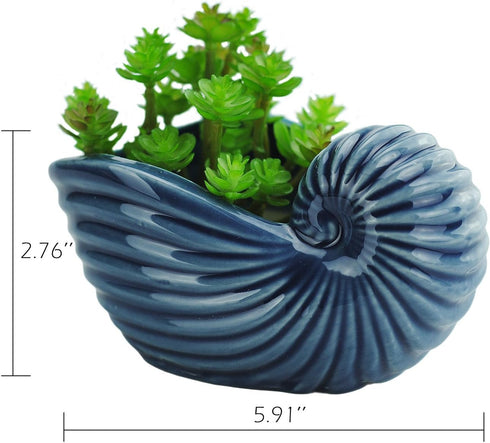 VanEnjoy 5" Ceramic Succulent Pot, Cute Ocean Blue Seashell Series, Conch Shaped Cactus Pot Planter, Flower Pot, Pottery Bonsai Pot, Cute Shell So...