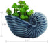 VanEnjoy 5" Ceramic Succulent Pot, Cute Ocean Blue Seashell Series, Conch Shaped Cactus Pot Planter, Flower Pot, Pottery Bonsai Pot, Cute Shell So...