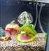 Cute Fish Tank Frog Air Bubble Maker, Aerating Action Frog Air Bubbler with Auto Open and Close Mouth, Aquarium Frog Decor Ornaments for Increase ...