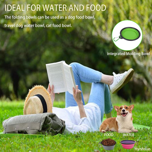 Medium Collapsible Dog and Cat Water Silicone Bowls, Pack of 2, Portable Pet Feeding Tray for Walking, Parking, Traveling with 2 Carabiners (grey&...