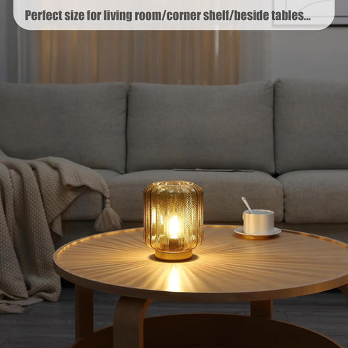 Battery Operated Lamp, Modern Table Lamp Cordless Bedside Lamps, Glass Battery Powered Lamp with LED Bulb Decorative Battery Operated Lamps for Li...