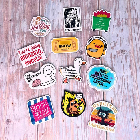 YJ PREMIUMS 12-Piece Fridge Magnets - Funny Memes, Cute Animals, and Words for Home/Office Decoration......