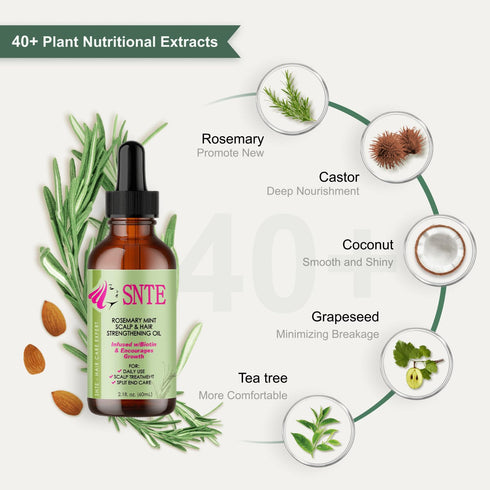 Rosemary Oil for Hair Growth, Hair Growth Oil, Hair Oils for Hair Growth, Rosemary Hair Oil, Hair Treatment Oils for Repairing Hair, Relieving Dry...