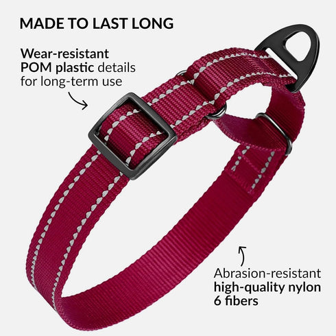 CollarDirect Reflective Martingale Dog Collar Nylon Heavy Duty Training Pet Collars for Small Medium Large Dogs Puppy Black Blue Mint Green Red Pi...