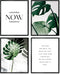 A ARTZONE Botanical Watercolor Prints, Set of 4 Unframed Canvas Art Prints, 8x10 inches, Bedroom Wall Art...