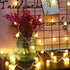 Merdeco Globe, Plug in String Lights 10ft/3m 20 LED Bulb Warm White Fairy Lights for Birthday/Christmas/Wedding/Party Indoor Outdoor Decoration...