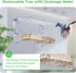 Window Bird Feeder with Strong Suction Cups, Clear Window Bird feeders for Viewing, Bird Feeders for Outdoors Outside, Fits for Cardinals, Finches...