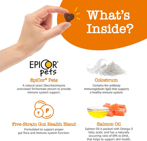 Zesty Paws Dog Allergy Relief - Anti Itch Supplement - Omega 3 Probiotics for Dogs - Digestive Health - Soft Chews for Skin & Seasonal Allergies -...