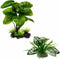 Reptile Artificial Plants, Terrarium Plants Decorations Supplies, Aquarium Fish Tank Plant, Amphibian Habitat Hideout Tank Accessories (M Set-2pcs...