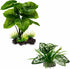 Reptile Artificial Plants, Terrarium Plants Decorations Supplies, Aquarium Fish Tank Plant, Amphibian Habitat Hideout Tank Accessories (M Set-2pcs...
