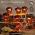Fall Decor 3D Acorn String Lights 10ft 30 LEDs Battery Operated with Remote Timer Dim Brown Fairy Lights Indoor for Autum Harvest Home Party Tree ...