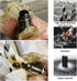 M12x1.75 Magnetic Oil Drain Plug, Stainless Steel Sump Drain Nut Bolt with 5 Crush Gaskets, Leak-proof Vehicle Engine Oil Drain Plug Replacement, ...