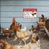 Chicken Sign, Metal Chicken Coop Tin Signs, Keep Gate Closed, Yard Sign Farm Garden Wall Decor Sign Plaque Outdoor for Home Fence 8 X 12 Inches...