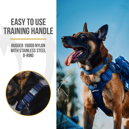 Tough Dog Collars, Tactical Dog Collar with Handle, Milltary Adjustable Dog Collar with Heavy Duty Metal Buckle for Training (Medium,Blue)...