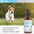 Puppy Vitamins | Puppy Supplements | Puppy Vitamins for Small Dogs | Puppy Vitamins Large Breed | Puppy Multivitamin | Puppy Vitamins and Suppleme...