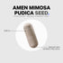 Amen Organic Mimosa Pudica Seeds Capsules, 2 Month Supply, Vegan Mimosa Pudica Seed Plant Supplement - Mimosine Sensitive Plant Pills - Fat Solubl...
