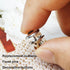 6 Pcs Mini No Sew Crystal Buttons Anti Exposure Fixed Brooches Detachable Reusable Multi-purpose for Clothes(clear,10mm)...
