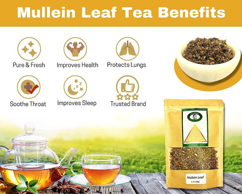 100% Natural Mullein Leaf Organic Tea - Herbal Expectorant for Respiratory - Support Lung Cleanse Caffein-Free Non-GMO Natural and Immune Support ...