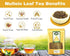 100% Natural Mullein Leaf Organic Tea - Herbal Expectorant for Respiratory - Support Lung Cleanse Caffein-Free Non-GMO Natural and Immune Support ...