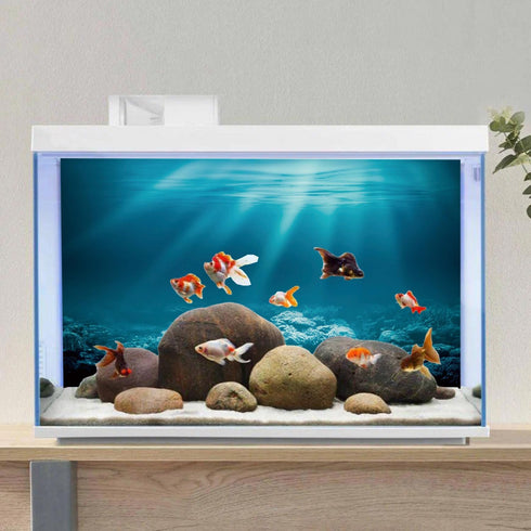 AWERT 36x18 inches Undersea Theme Aquarium Background Sunshine Underwater World Fish Tank Background Vinyl...