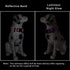 Mile High Life | Nylon Night Light Glow Collar for Medium Dogs | Reflective Band Cat Collar | Fluorescence self-luminescence Strap Puppy Collar | ...