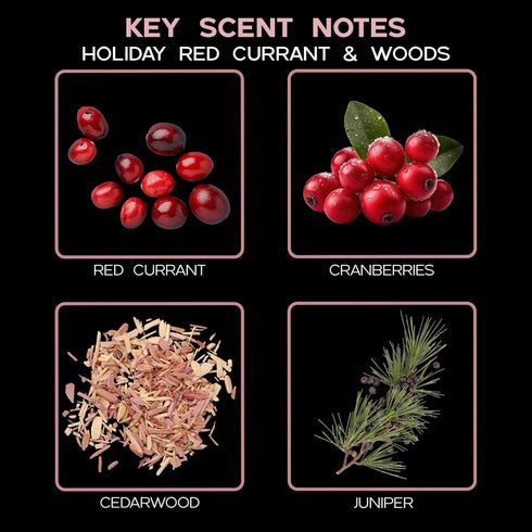 LOVSPA Reed Diffuser Set, Holiday Red Currant & Woods Scented Oil Diffuser with Sticks, Home Fragrance Accessories for Bathroom Shelf Decor, Aroma...
