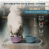 Cat Bowls with Suction Cup 400ml with Silicone Lid — Elevated Silicone Pet Dish with Non-Slip Bottom for Dry Food, Wet Food and Water — Silicone W...