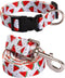 2PCS Watermelon Dog Collars with Funny Pet Leash Set Dogs Adjustable Collar for Small to Large Dog Collars Set (XL)...