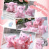 8 Pcs Plush Mini Elephant Stuffed Animal Toys 4 Inches Cute Soft Forest Elephant Toys for Baby Shower Birthday Party Christian Charity Donation Su...