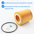 Oil Filter 11427953129 Compatible with BMW N52 N54 N55-128i 135i 320i 325i 325xi 328i 328xi 330i 330xi 335i 335xi 525i 525xi 528i xi 530i 530xi 53...