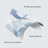 MIULEE Pack of 2 Decorative Outdoor Waterproof Throw Pillow Covers Patio Pillow Cases Natural Leaves Pattern Spring Square Cushion Shams Shell for...