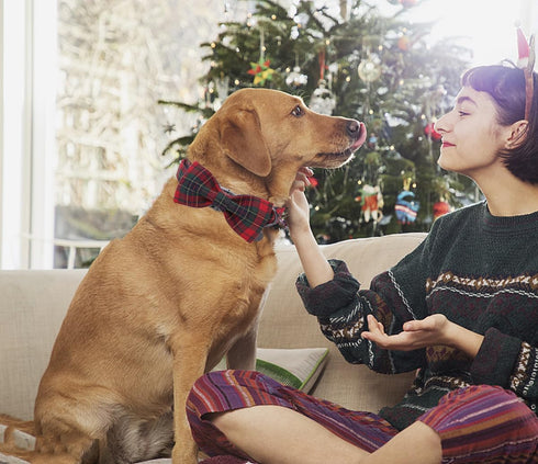 DOGWONG Christmas Red Plaid Dog Collar with Bowtie, Cute Cotton Dog Collar Red Christmas Dog Bowtie Durable Soft Pet Dog Collar for Small Medium L...