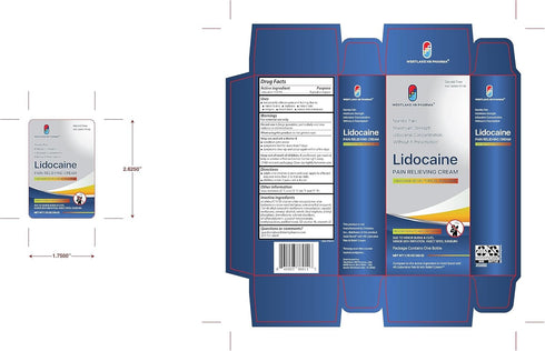 Westlake Lidocaine 4% Muscle & Joint Pain Relief Numbing Cream | Maximum OTC Strength | 2 Pack...